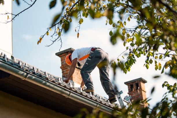 Best Commercial Roof Installation  in Luray, VA