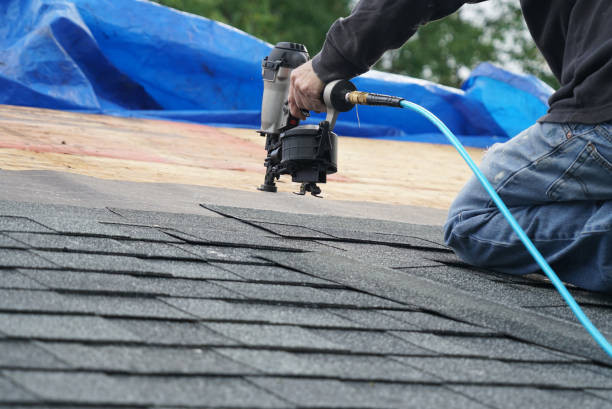 Best Roof Gutter Cleaning  in Luray, VA