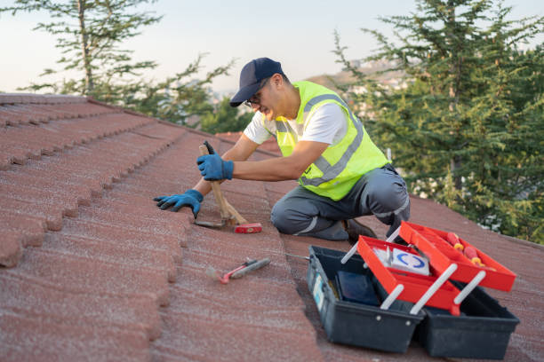 Best Metal Roofing Contractor  in Luray, VA