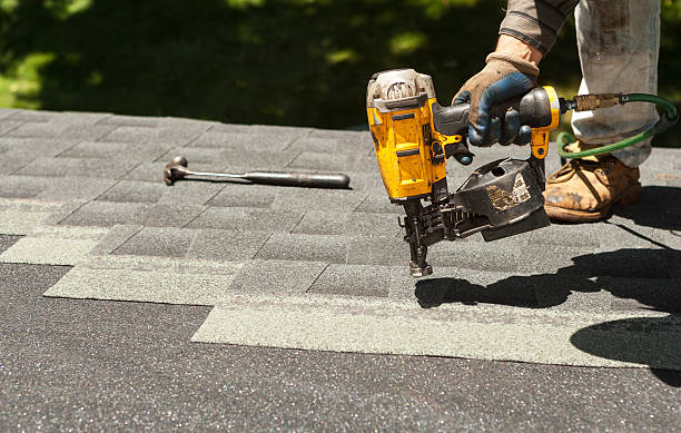 Roof Gutter Cleaning in Luray, VA