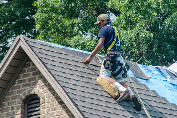 Best Roof Maintenance Services  in Luray, VA
